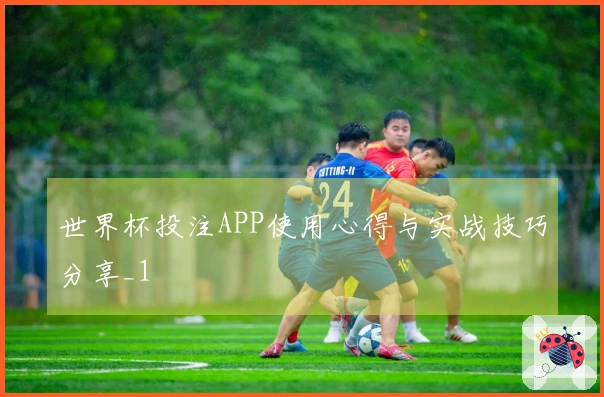 世界杯投注APP使用心得与实战技巧分享_1