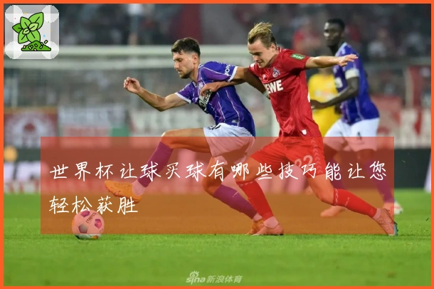 世界杯让球买球有哪些技巧能让您轻松获胜