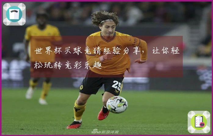 世界杯买球竞猜经验分享，让你轻松玩转竞彩乐趣