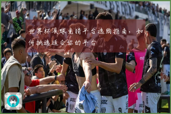 世界杯滚球竞猜平台选购指南，如何挑选适合你的平台
