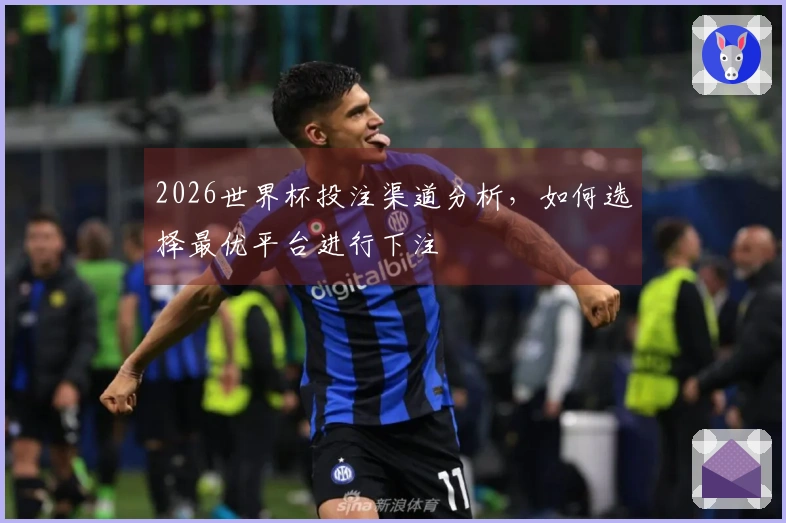 2026世界杯投注渠道分析，如何选择最优平台进行下注