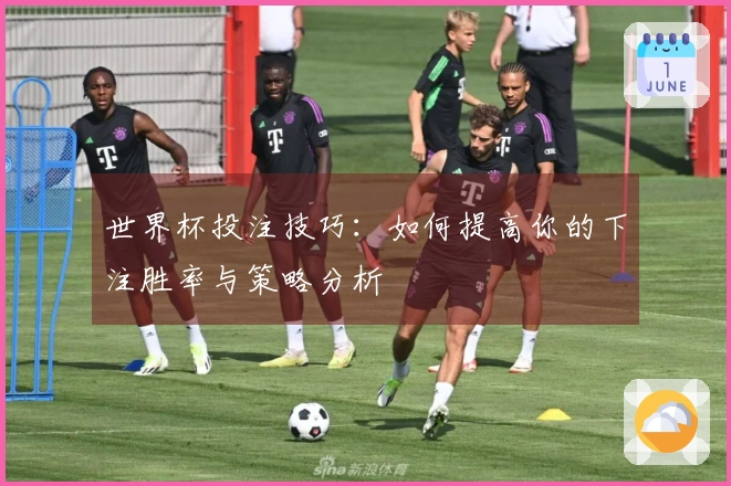 世界杯投注技巧：如何提高你的下注胜率与策略分析