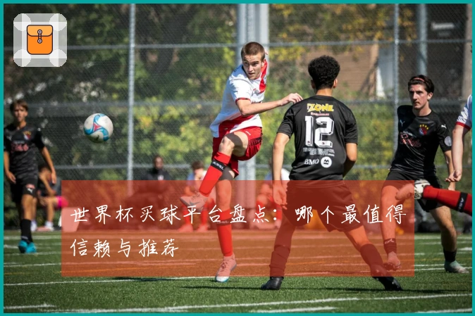 世界杯买球平台盘点：哪个最值得信赖与推荐