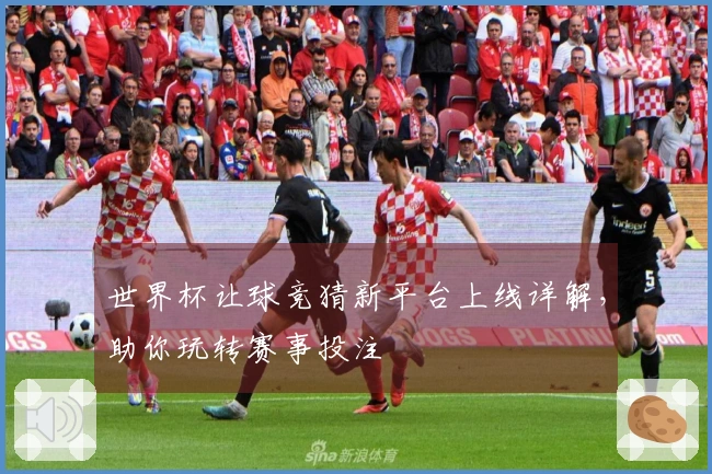 世界杯让球竞猜新平台上线详解，助你玩转赛事投注