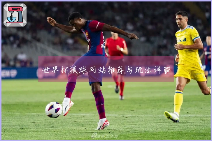 世界杯滚球网站推荐与玩法详解